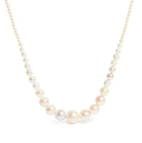 Graduated Pearl Necklace Pastels