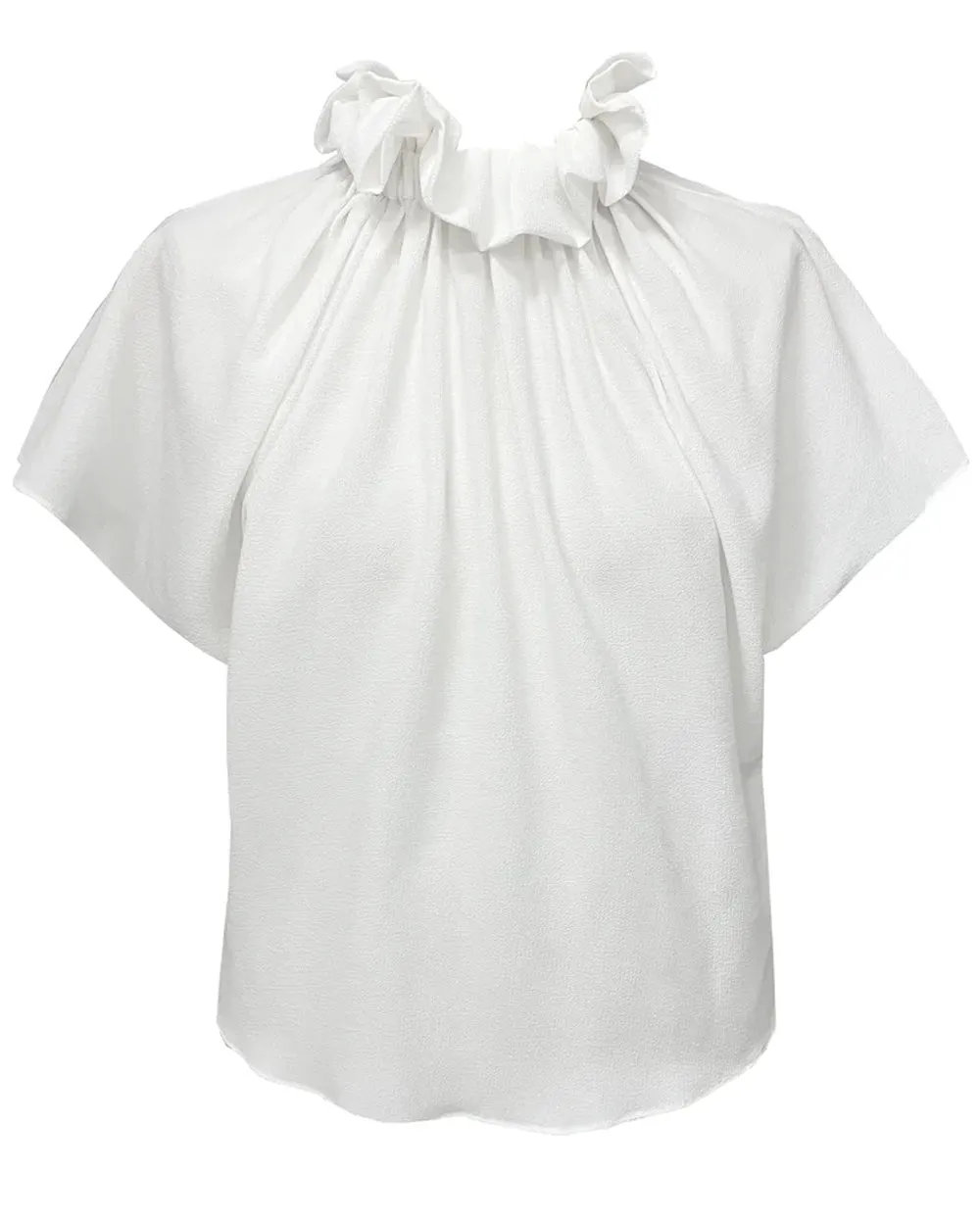 Ivory Georgette Champion Ruff Blouse