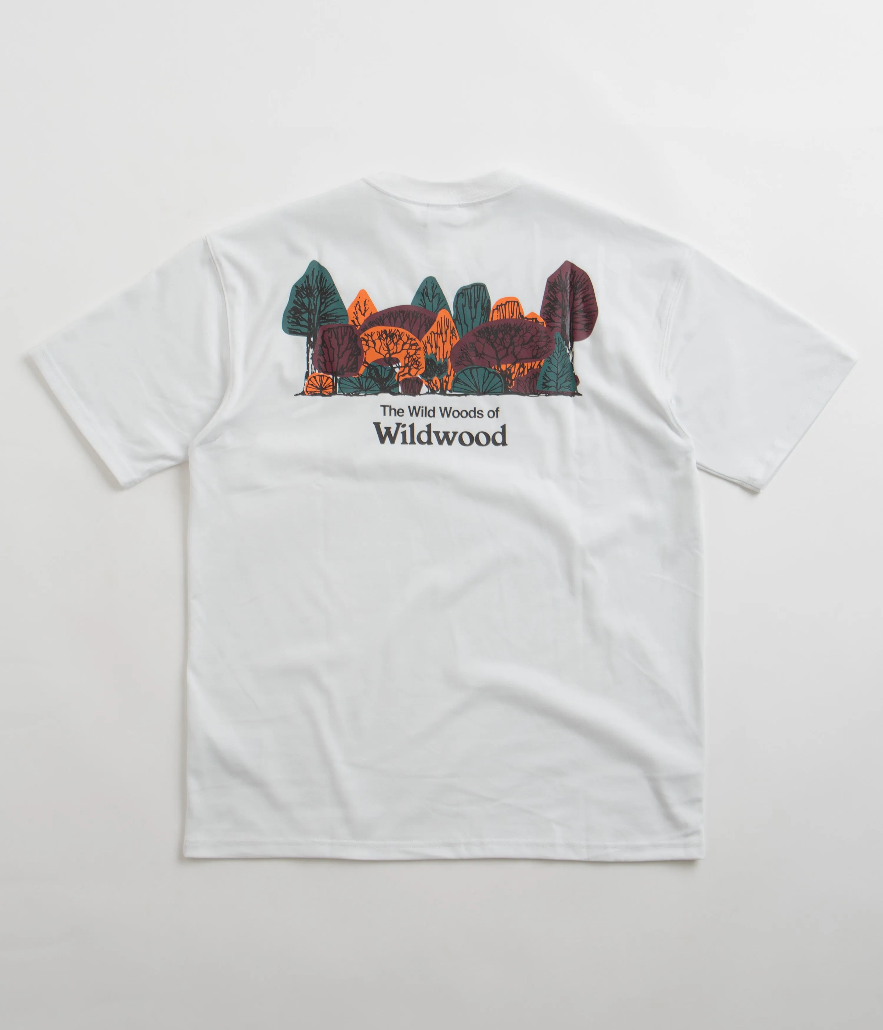 Nike ACG Wildwood T-Shirt - Summit White