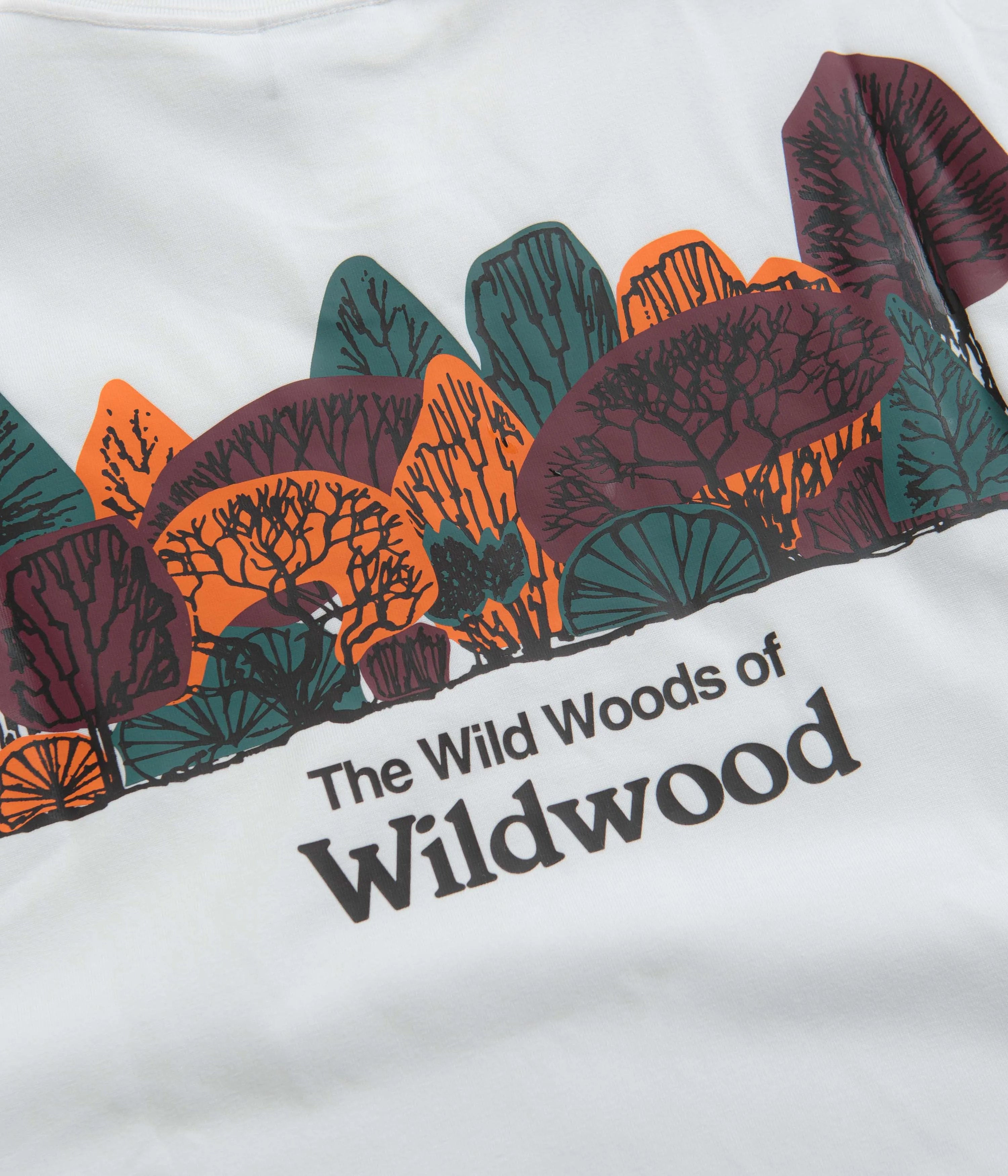 Nike ACG Wildwood T-Shirt - Summit White