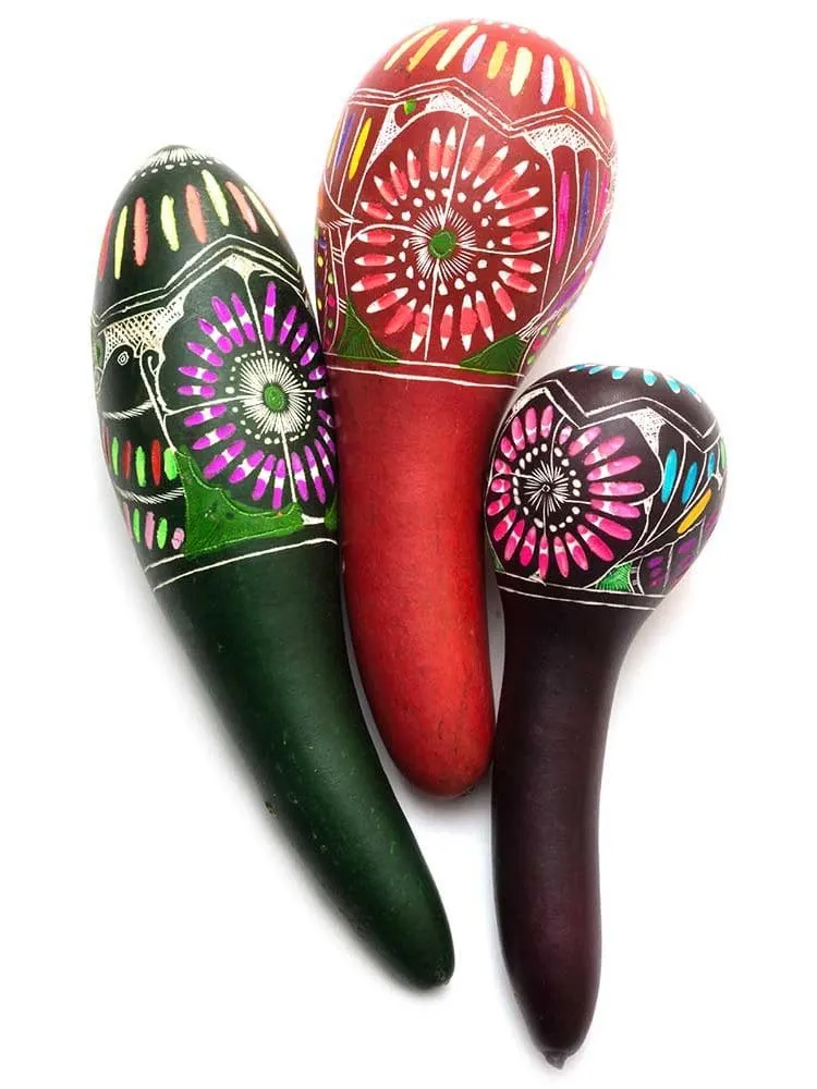 Peruvian Amazon Colorful Gourd Rattle - Short