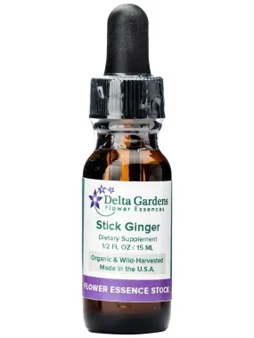 Peruvian Essence - Stick Ginger