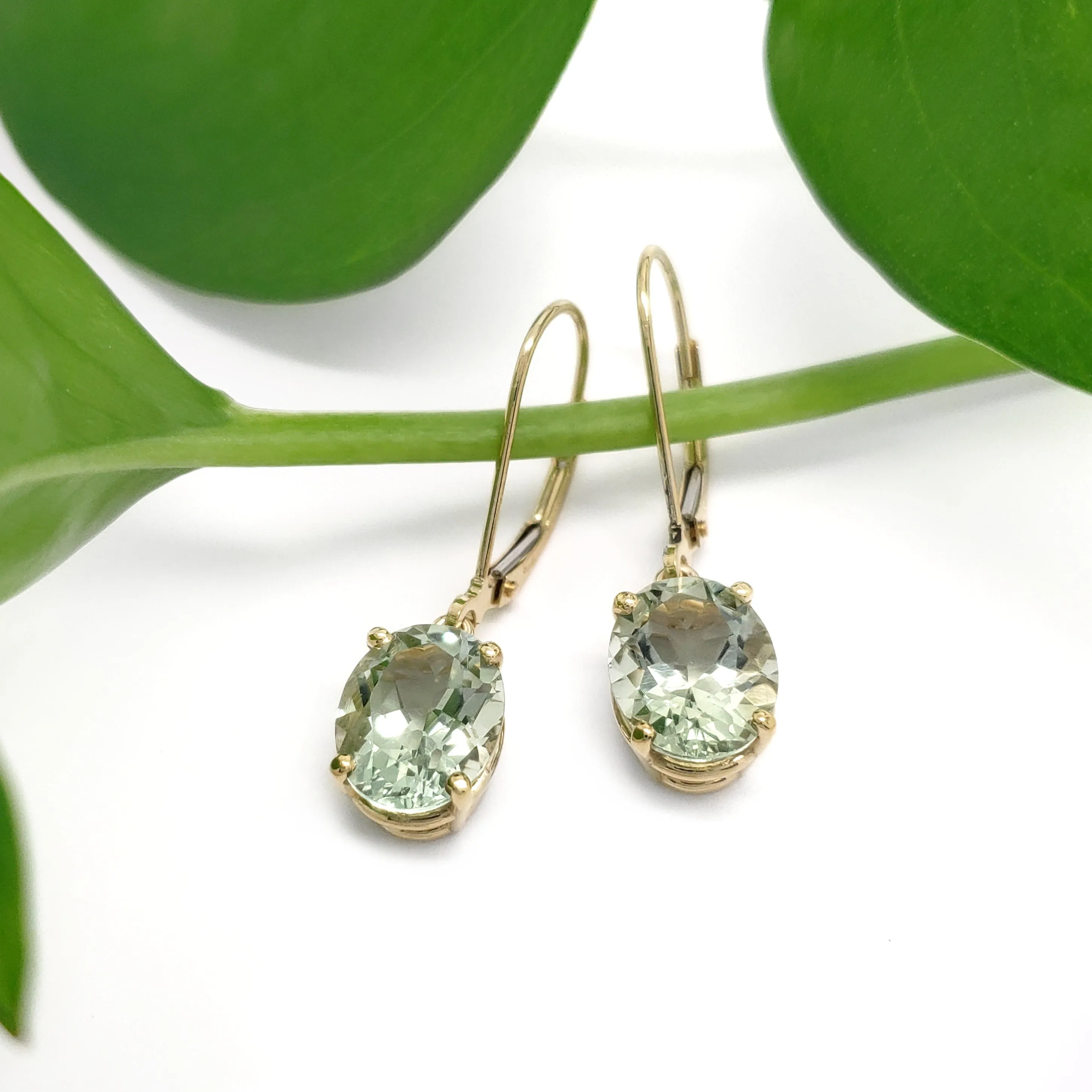 Prasiolite Earrings