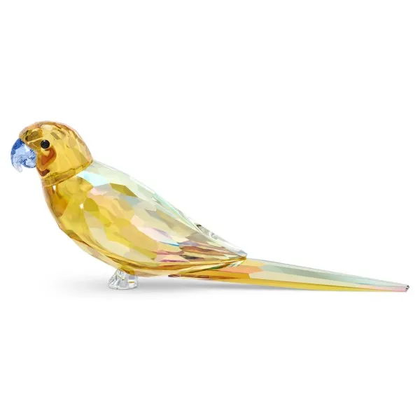 YELLOW PARAKEET LECHEE